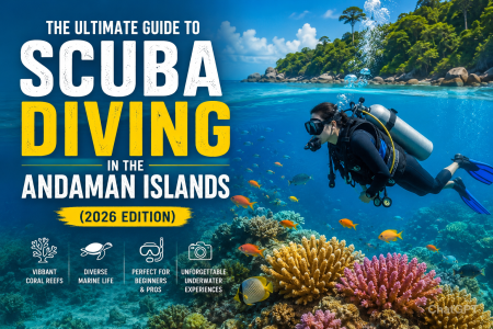 Scuba Diving in Andaman: A Complete Guide for Beginners and Adventure Enthusiasts