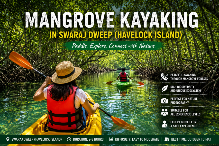 Mangrove Kayaking in Swaraj Dweep (Havelock Island)