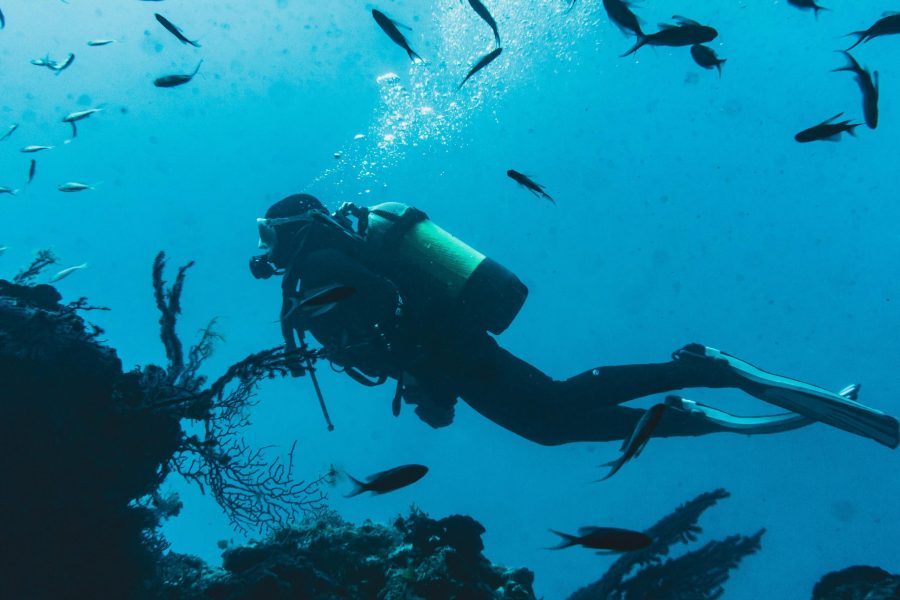 Scuba Diving in Havelock Island – The Ultimate Underwater Adventure in Andaman