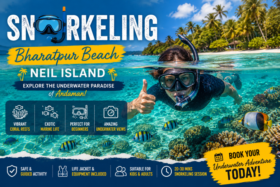 Tourist snorkeling at Bharatpur Beach in Neil Island exploring colorful coral reefs and tropical marine life.