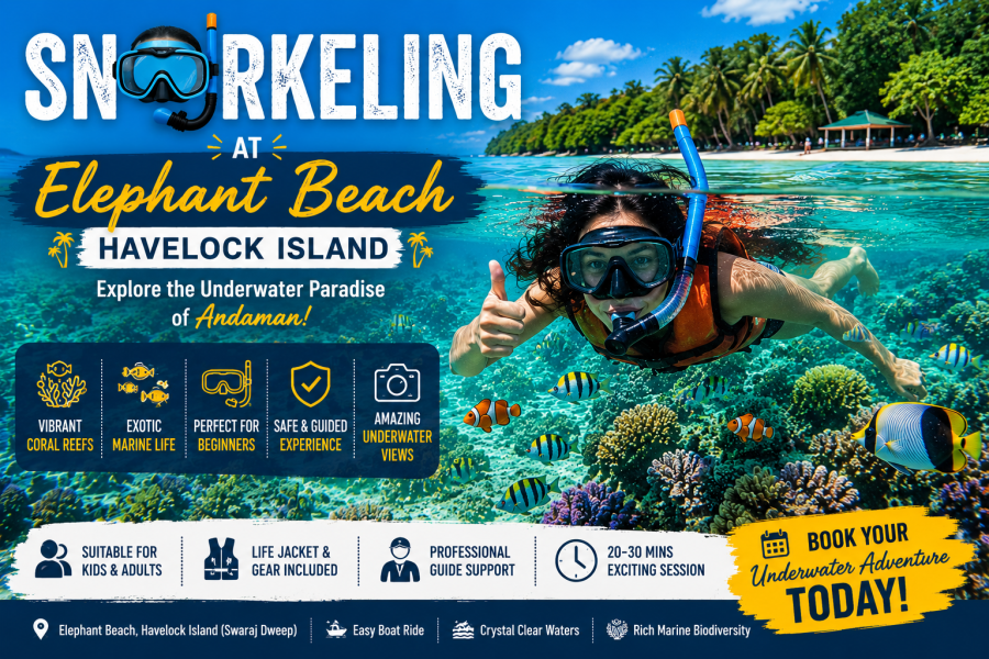 Tourist snorkeling at Elephant Beach in Havelock Island exploring colorful coral reefs and tropical marine life.