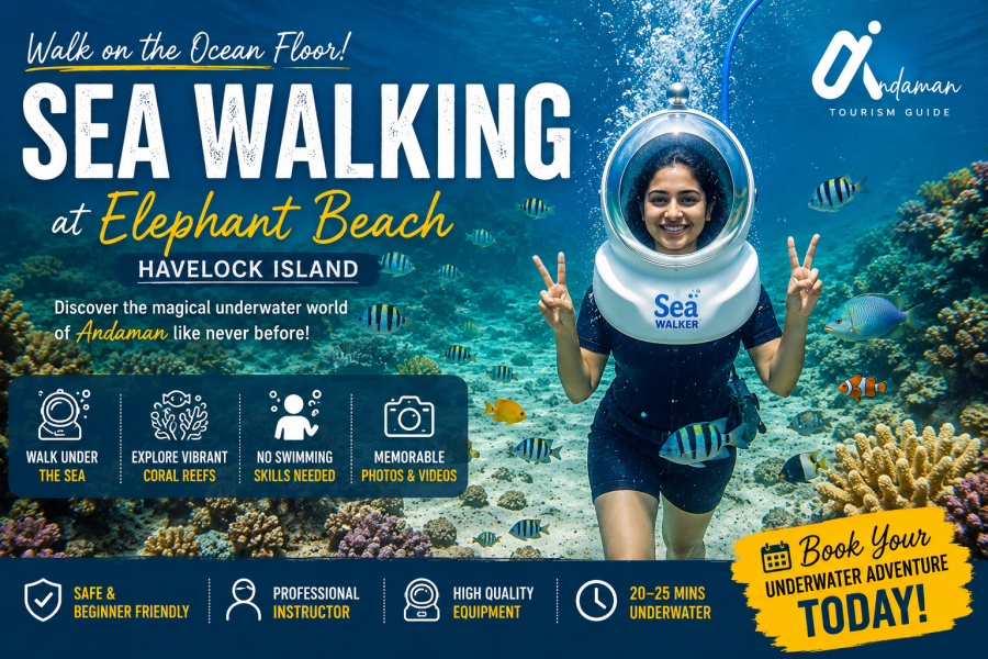 Tourist enjoying sea walking at Elephant Beach Havelock Island surrounded by colorful coral reefs and tropical fish.