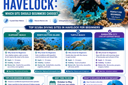 Scuba Diving in Havelock: Which Site Should Beginners Choose?