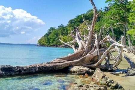 Chidiyatapu and Munda Pahad Beach Half Day Trip from Port Blair