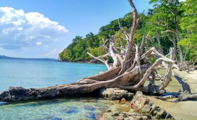 Chidiyatapu and Munda Pahad Beach Half Day Trip from Port Blair